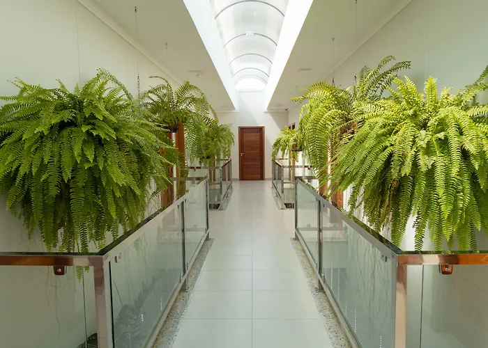 Orquídeas PraiaHotel Porto Seguro